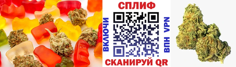 Canna-Cookies марихуана  Котельнич 